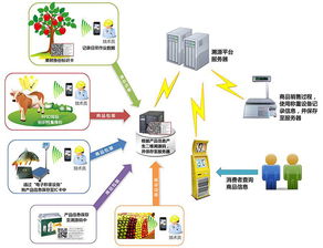 物聯(lián)網(wǎng)技術(shù)賦能產(chǎn)業(yè)升級 防偽、食品安全與新材料研發(fā)的革新應(yīng)用