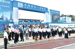 一較高下！巴中各區縣“六大突破”評分揭曉，誰執牛耳？